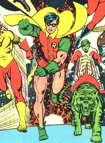 Robin in the comic